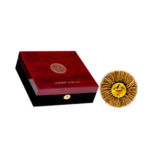 Đông Trùng Hạ Thảo Na Khúc Tây Tạng Vip 100g (king Size 14)